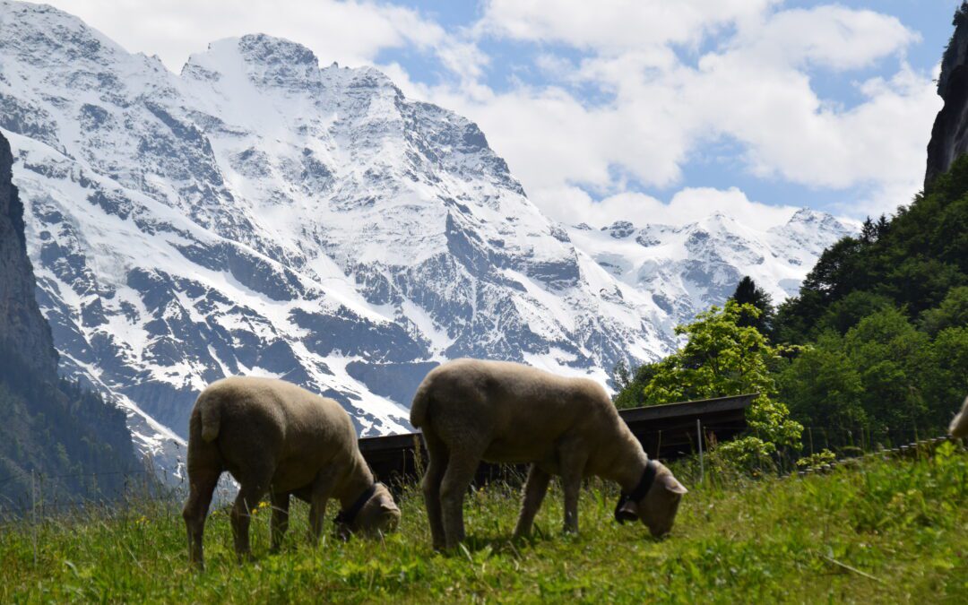 Que ver en Suiza
